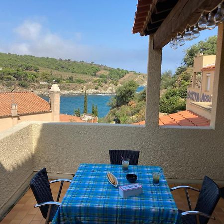 T3 Pieds Dans L'Eau Clim Wifi Terrasse Vue Mer Banyuls-sur-Mer Exteriér fotografie