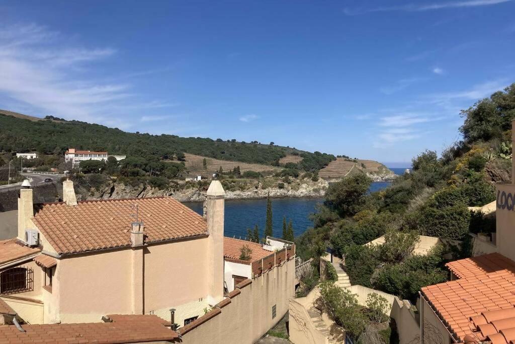 T3 Pieds Dans L'Eau Clim Wifi Terrasse Vue Mer Banyuls-sur-Mer Exteriér fotografie