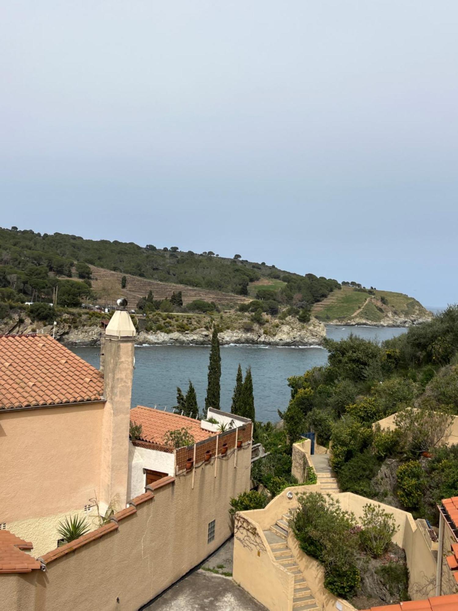 T3 Pieds Dans L'Eau Clim Wifi Terrasse Vue Mer Banyuls-sur-Mer Exteriér fotografie